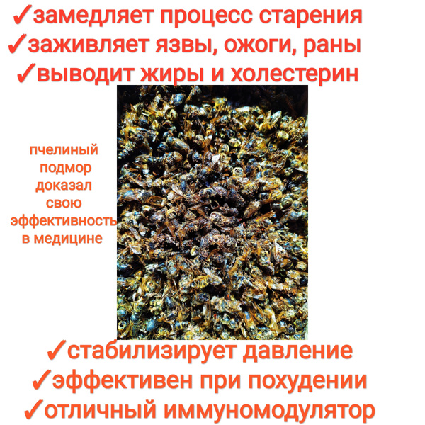Пчелиный подмор 20 гр, сушёный/природный иммуномодулятор, premium1 ...