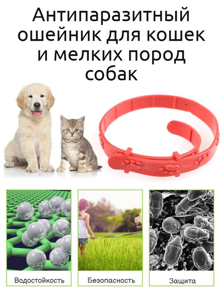 Ошейник для кошек и собак от блох и клещей - купить с доставкой по ...