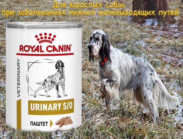 Royal Canin Urinary S/O Dog (паштет) 410г*12 - купить с доставкой по ...