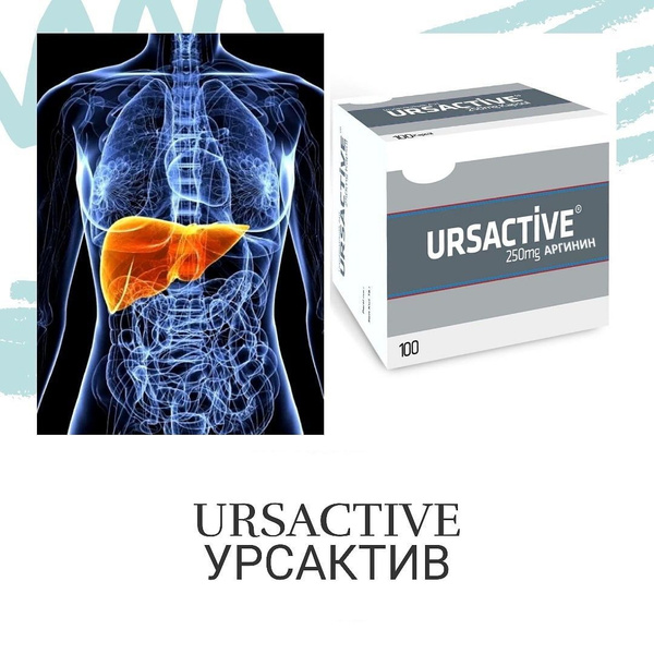 URSACTIVE - 250 mg (Урсактив 250 мг), 100 капс, Турция - купить с ...