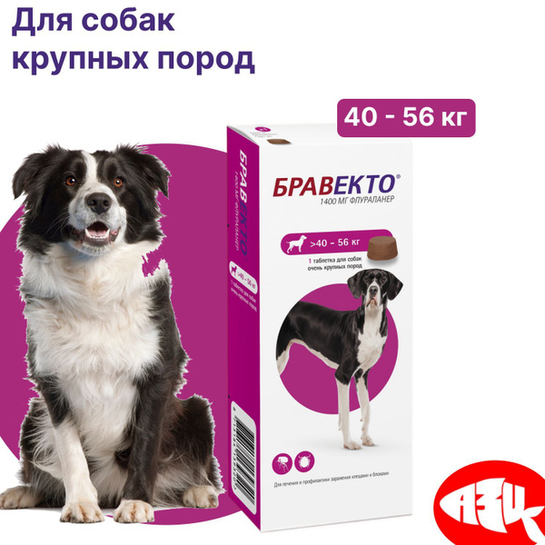 Бравекто для собак 40-56 кг. От блох и клещей жевательная таблетка ...