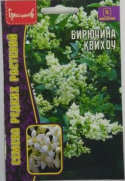 Декоративные разные Григорьев Бирючина КВИХОУ - купить по выгодным ...