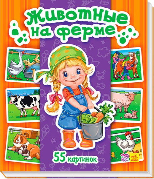 55 55