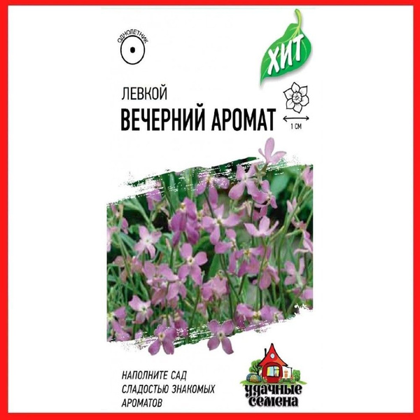 Маттиолы Гавриш "Вечерний аромат" Левкой_лиловый_сиреневый - купить по ...