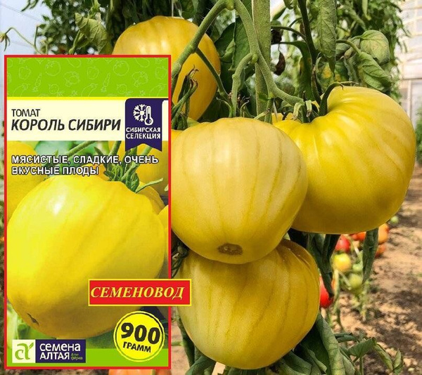Томаты Семена Алтая Алтай - купить по выгодным ценам в интернет ...