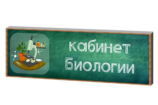Табличка "Кабинет биологии", 30х10 см., 10 см, 30 см - купить в ...