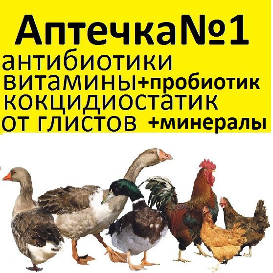 Аптечка ветеринарная для цыплят, утят, гусят, индюшат. Коров, овец ...