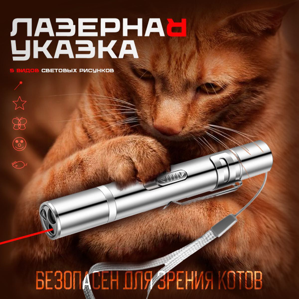 Лазерная указка 5 в 1 для кошек и собак, товары для животных, игрушки ...