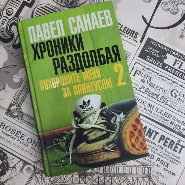 Хроники Раздолбая. Похороните меня за плинтусом 2 | Санаев Павел ...