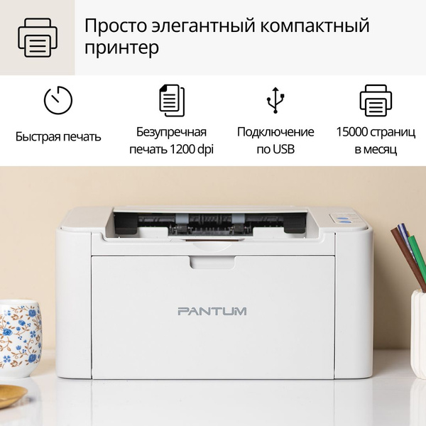 Pantum P2518 купить на OZON по низкой цене (642500190)