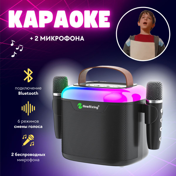 Беспроводная караоке система для дома с двумя беспроводными микрофонами ...