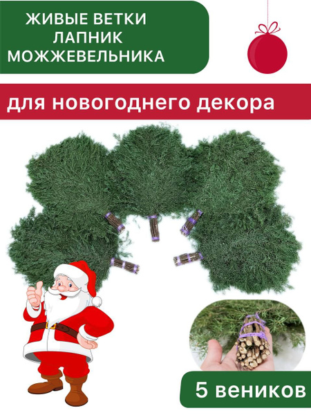 Лапник/ Живые Ветки можжевельника для новогоднего декора / можжевельник ...