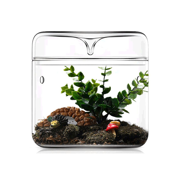 Гроубокс - купить с доставкой по выгодным ценам в интернет-магазине ...