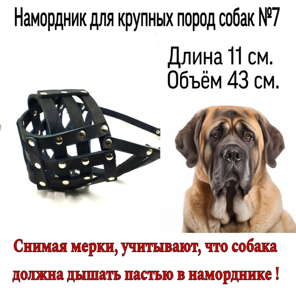 Намордник из натуральной кожи для крупных гигантских пород собак № 7 ...