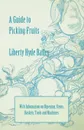 A Guide to Picking Fruits with Information on Ripening, Stems, Baskets, Tools and Machines - Liberty Hyde Jr. Bailey, L. H. Bailey