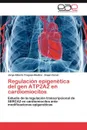 Regulacion Epigenetica del Gen Atp2a2 En Cardiomiocitos - Fragoso-Medina Jorge Alberto, Zarain Angel
