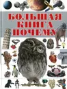 Большая книга 