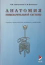 Анатомия пищеварительной системы. Строение, кровоснабжение, иннервация, лимфоотток. Учебное пособие - Гайворонский И.В.