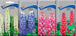 Люпин (Lupinus) – травянистое однолетнее или многолетнее растение из семейства бобовых. Недорого купить его можно для украшения  ...