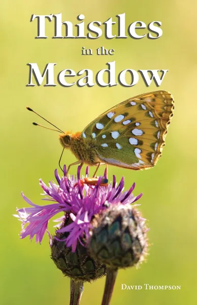 Обложка книги Thistles in the Meadow, Revd Dr David Thompson