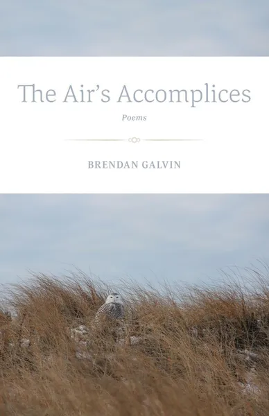 Обложка книги The Air's Accomplices. Poems, Brendan Galvin