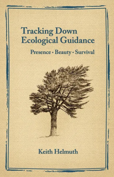 Обложка книги Tracking Down Ecological Guidance. Presence, Beauty, Survival, Keith Helmuth