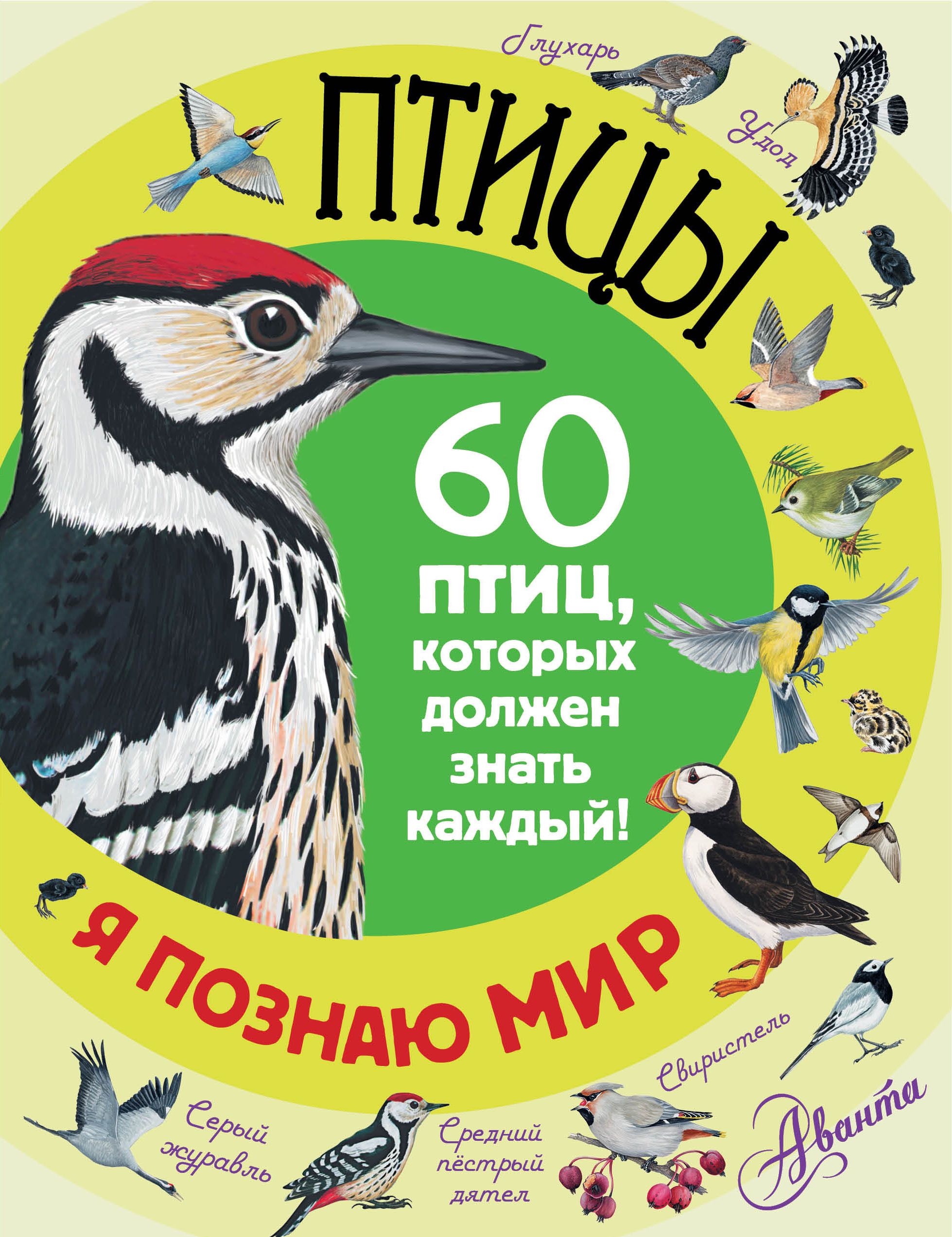 Книги о птицах. Книги о птицах для детей. Книги о птицах Художественные. Обложки книг с птицами. Книги о птицах для детей Художественные.