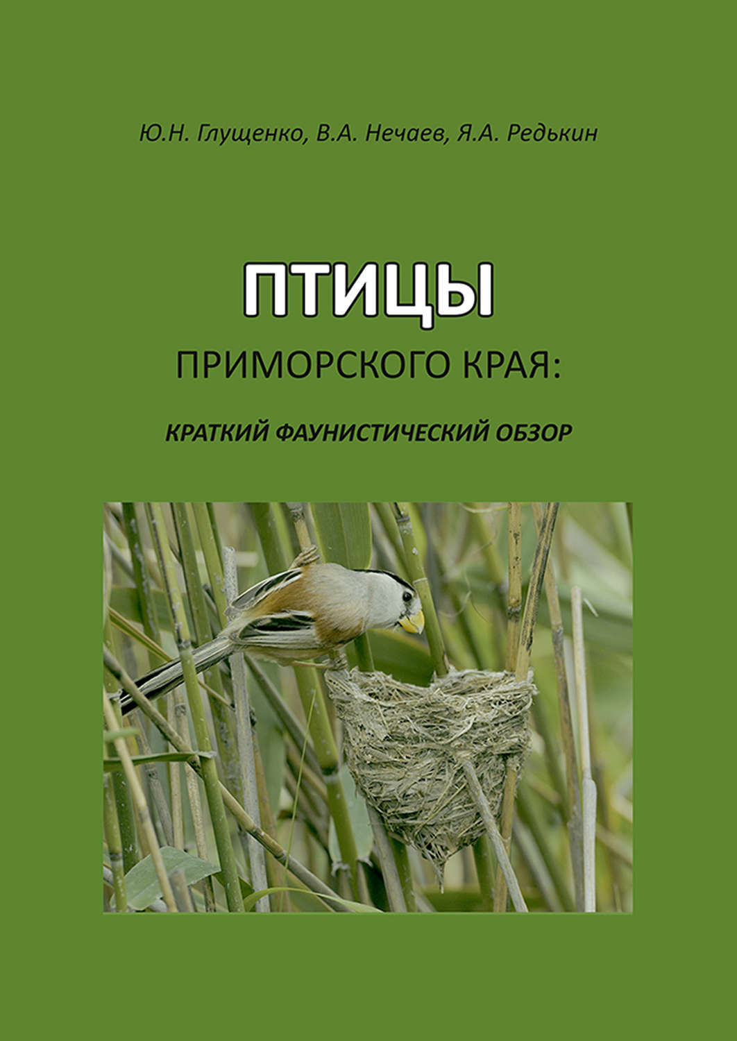 Птицы Приморского Края Фото