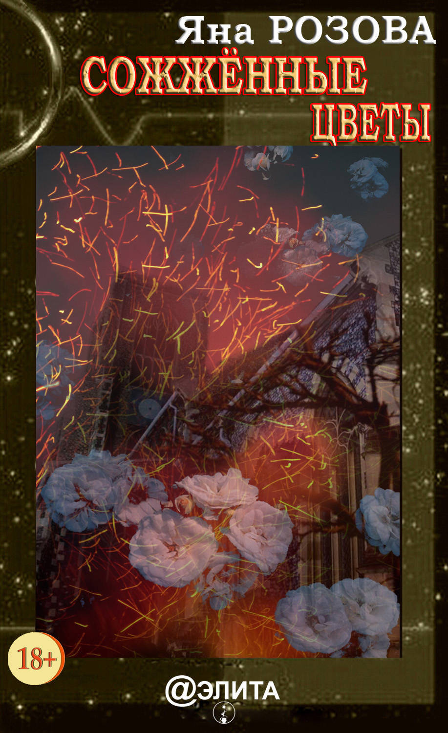 Выжжено книга. Читать выжжено. Читать выжжено. Есть преступление хуже чем сжигать книги. Сожженные цветы 1985.