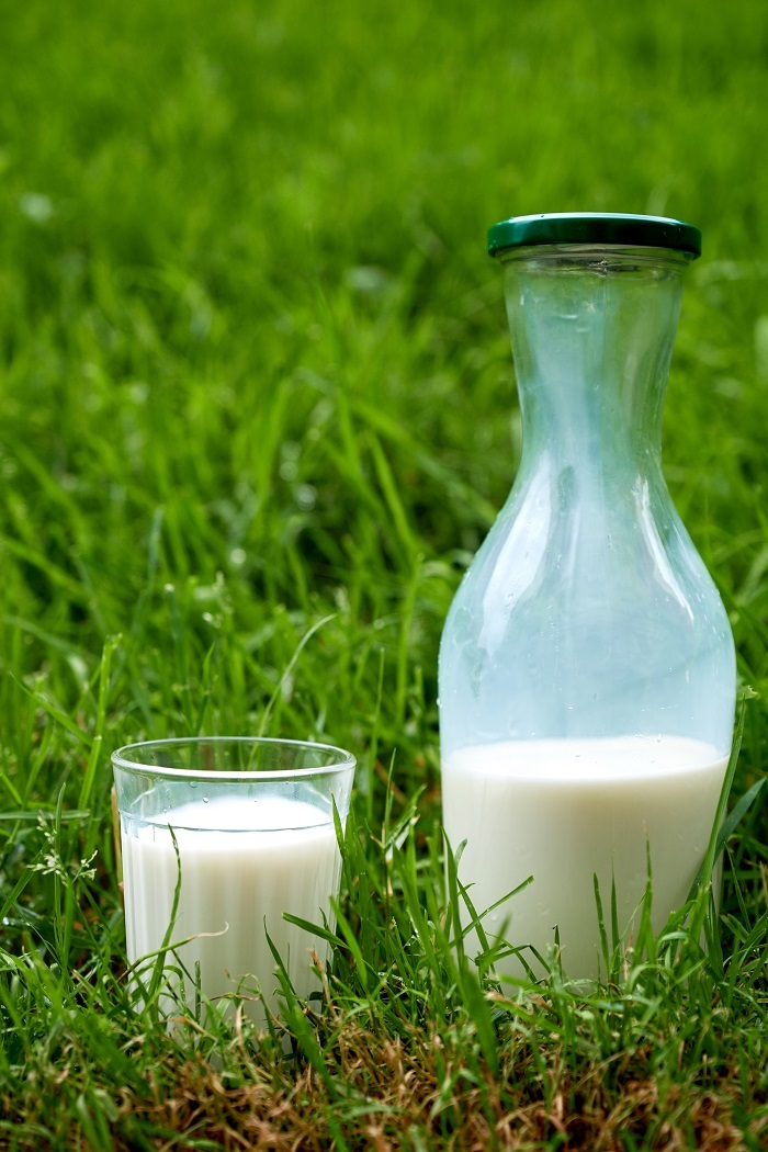 Молоко. Молоко хранение. Бутылка для хранения молока. Нативное молоко это.