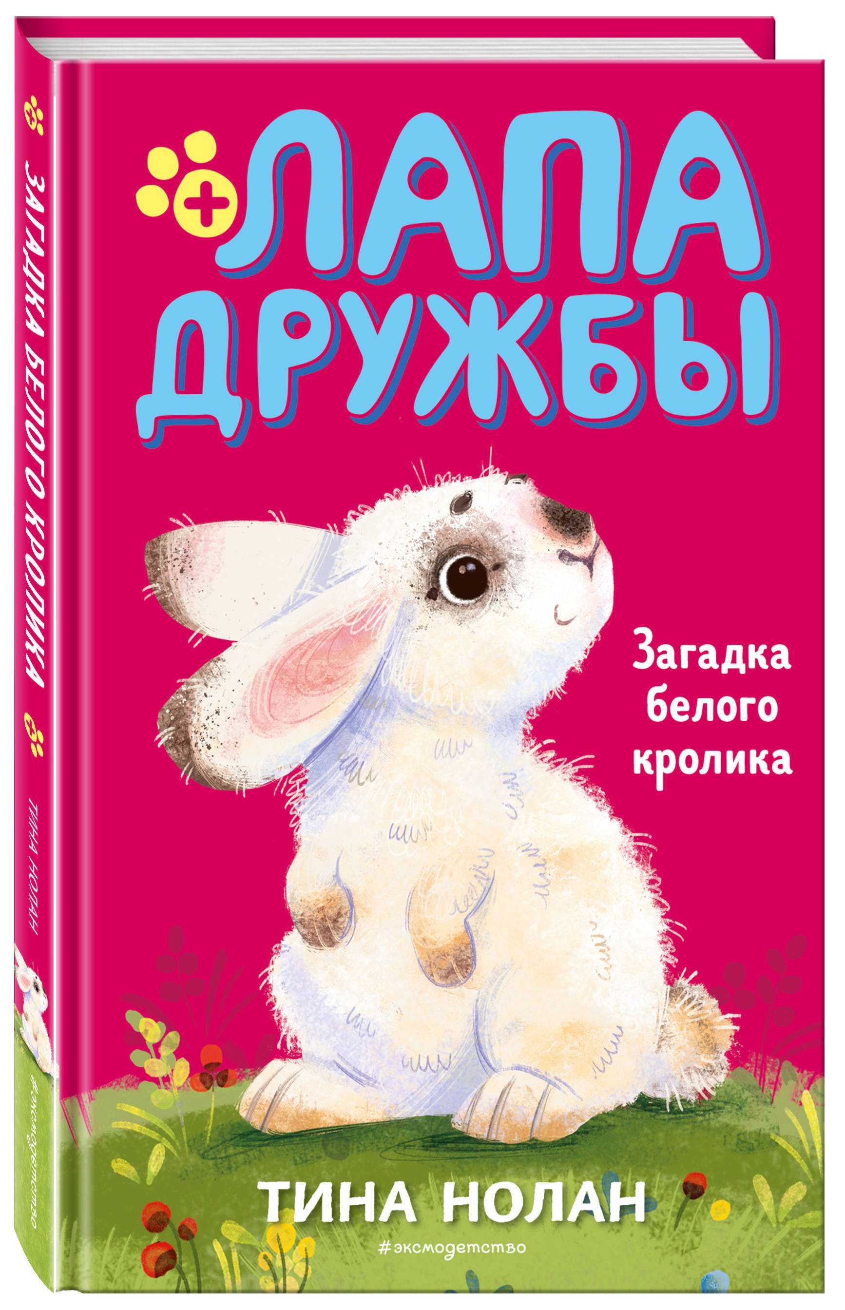 Загадка белого кролика (#5) | Нолан Тина - купить с доставкой по выгодным  ценам в интернет-магазине OZON (253327501)