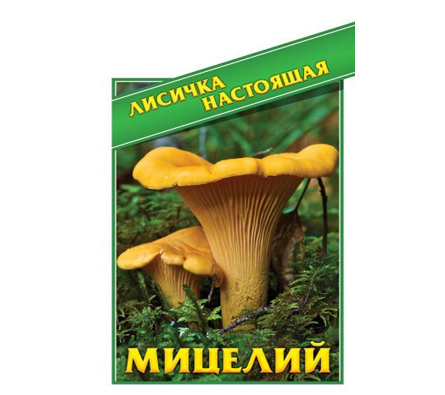 Магазин Семян Грибов