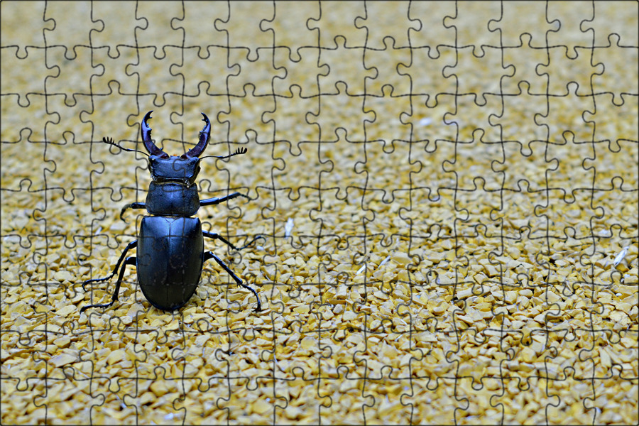 6109018412.jpg