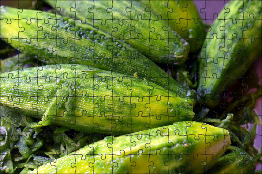 Почему горчит дыня. Момордика харанция (bitter gourd). китайская горькая тыква. bitter gourd что за овощ. горькая дыня фото.