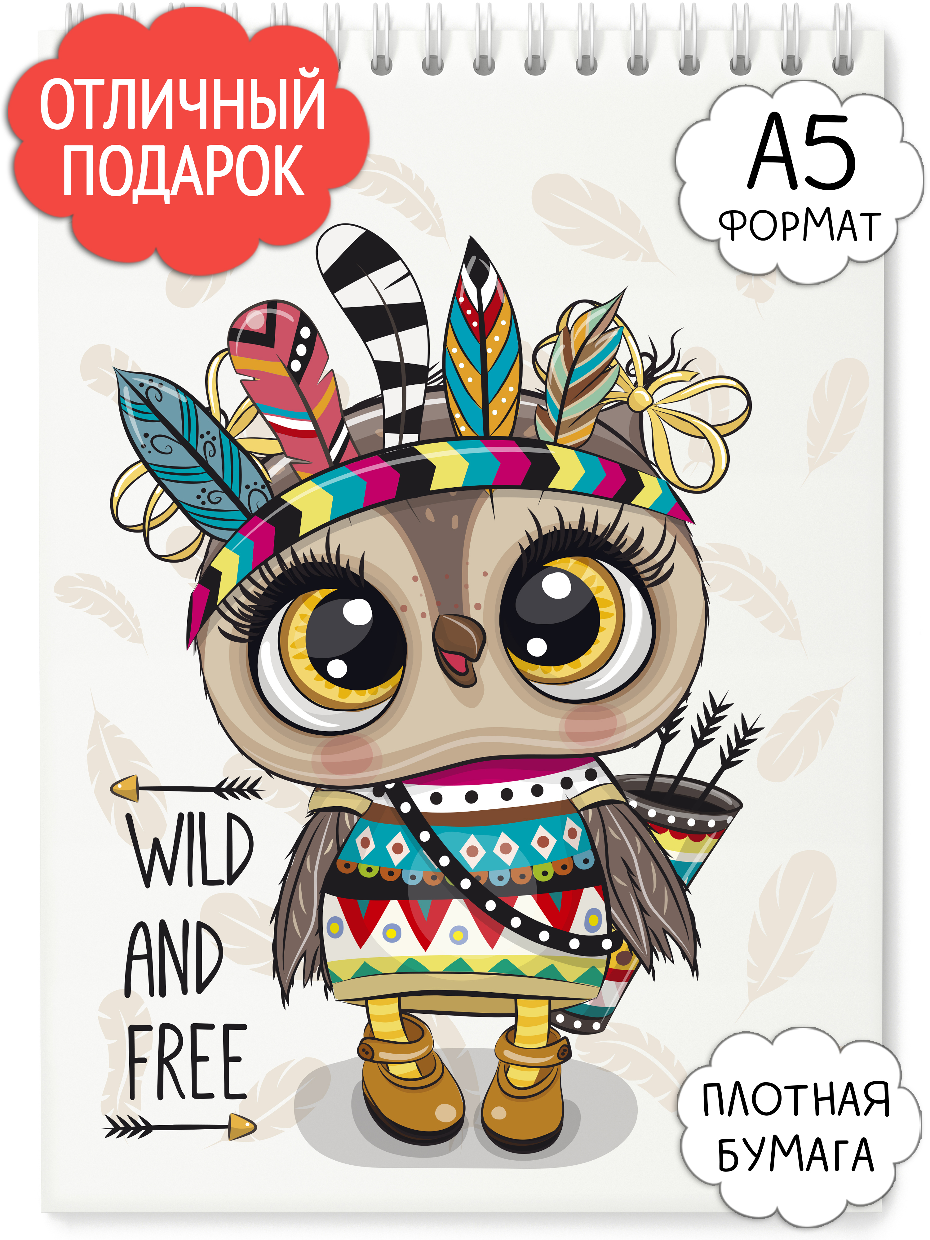 Сова индейцы. Индейские тотемы. Сова индейцы. Тотем индейцев хайда индеец. Индейцы с тотемными животными.