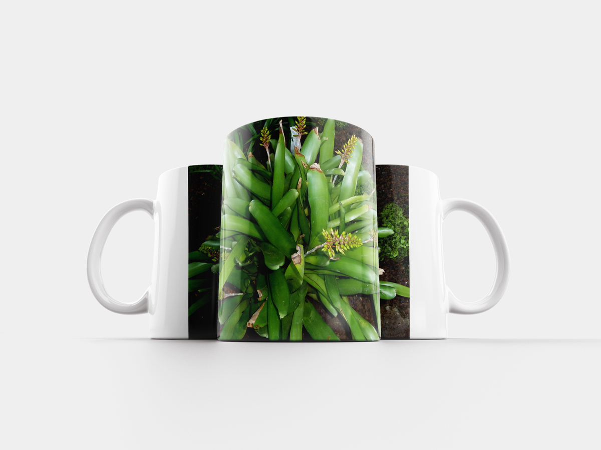 Кружка растения. Кружка plants. Чашка с листьями. Кружка растения. Кружка 'not crazy'.