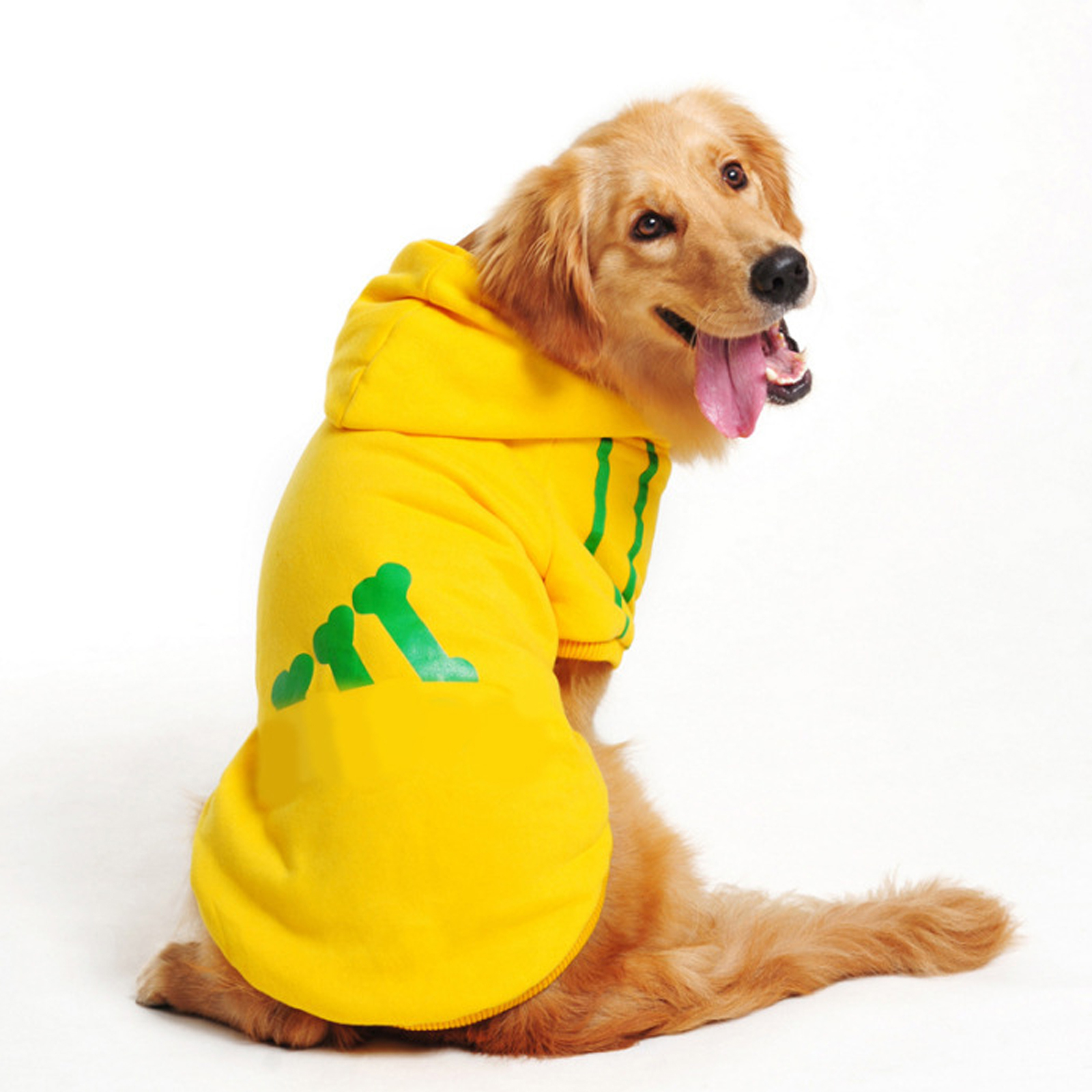 Dog clothes одежда для собак