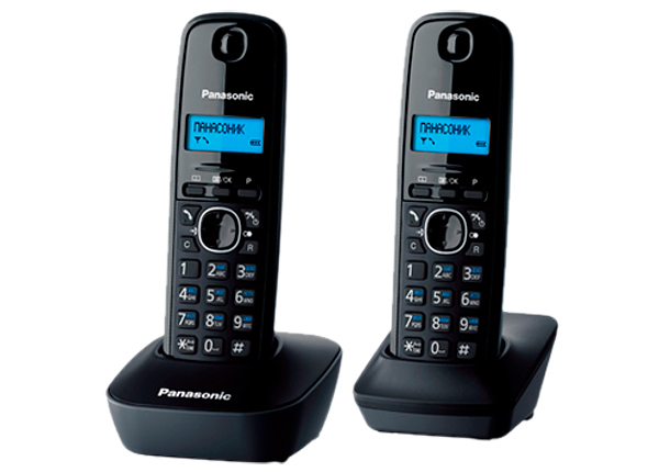 DECT телефон Panasonic KX-TG1612RUH