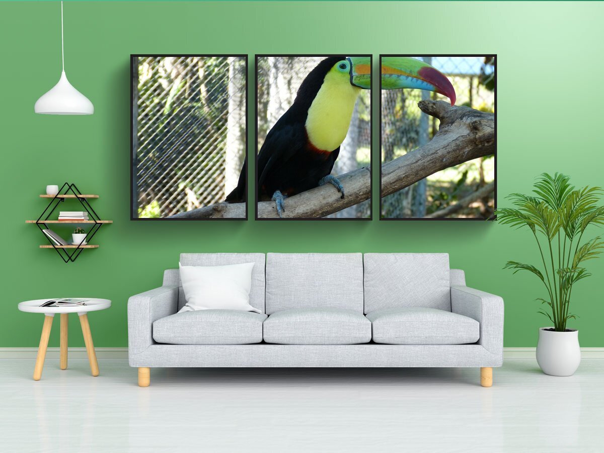 Модульное оригами из бумаги. Модульное оригами жар птица. Модульные птицы. Оригами орел. Оригами птица.