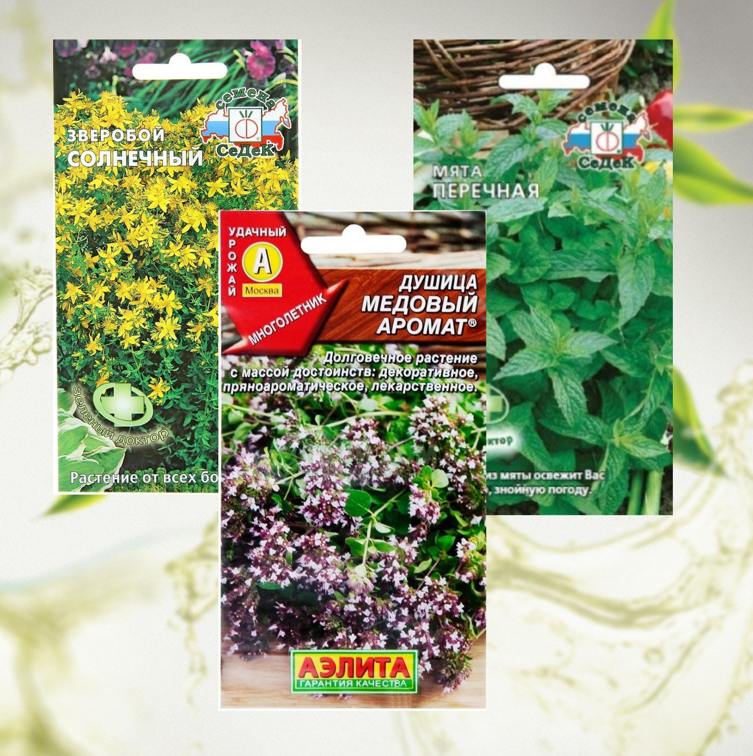Зверобой чай в пакетиках. Ароматические и лекарственные растения Ялта 2018. Семена ароматных квестов.