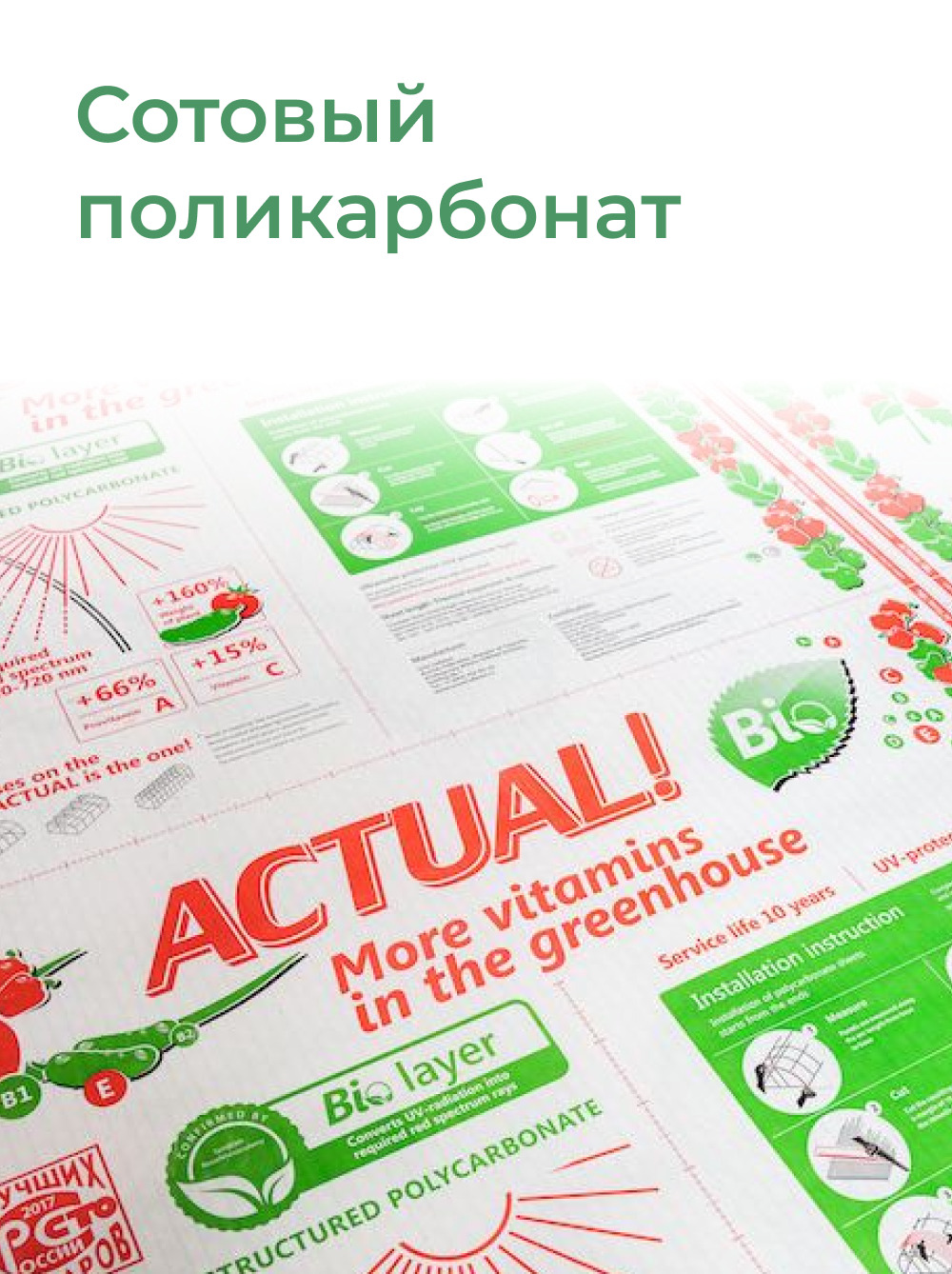 Киров Купить Поликарбонат Рациональ