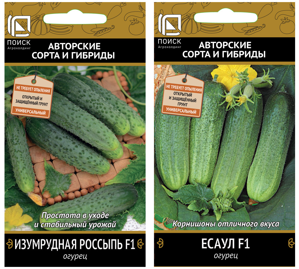 Огурцы Изумрудная Сережка Отзывы Фото