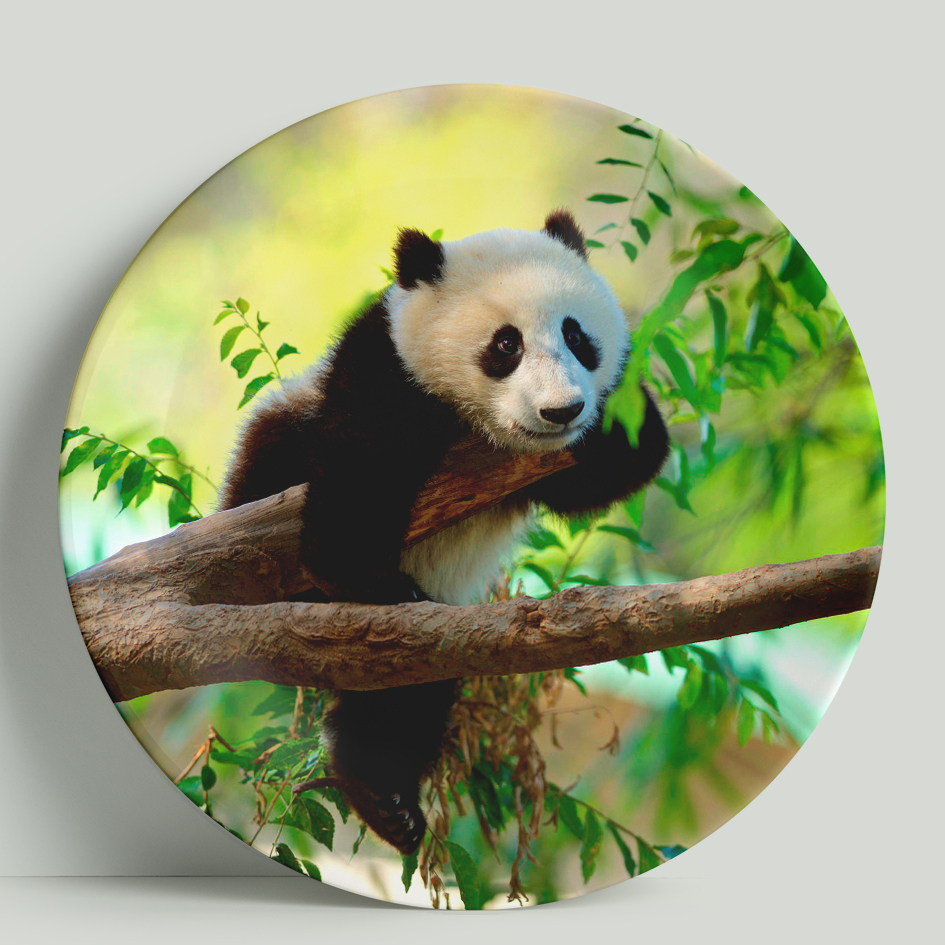 Panda 20. Тарелка медведь. Тарелка с мишкой. Тарелка мишка на горе.