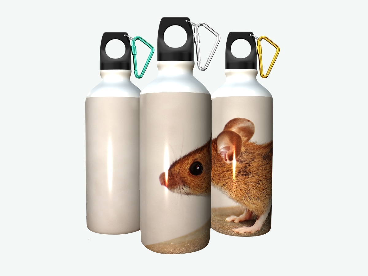 Мышь в воде. Бутылка для воды грызунам. Мышь водяная Белгород. Мышка с водой внутри купить.