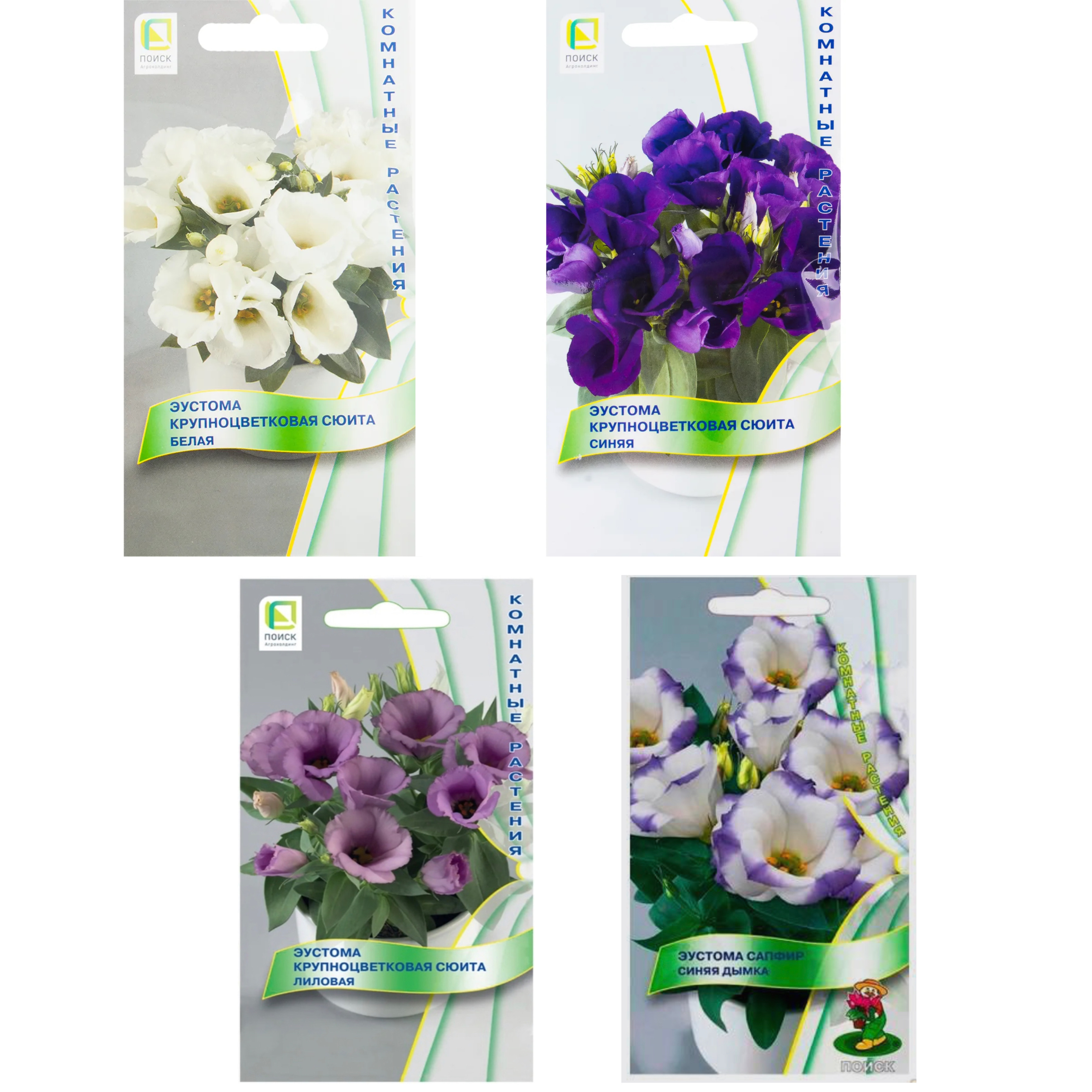 Эустома крупноцветковая сюита белая. Эустома сюита белая. Эустома крупноцветковая сюита белая. Эустома сюита. Эустома сюита.