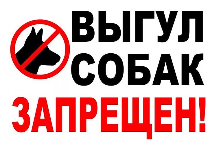 Выгул собак запрещен картинка