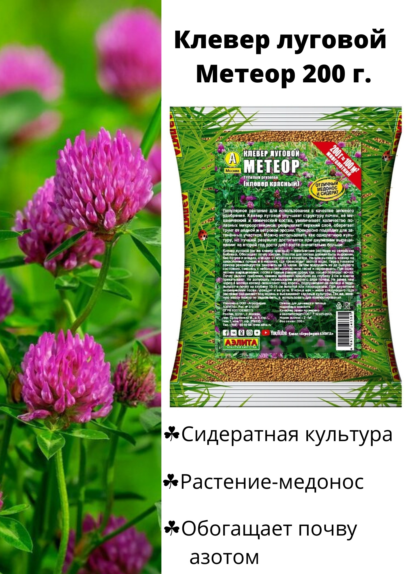 Клевер луговой инструкция по применению. Семена газона sortline смесь трав. Клевер Луговой белый газонный. Клевер красный газон. Клевер Луговой Метеор.