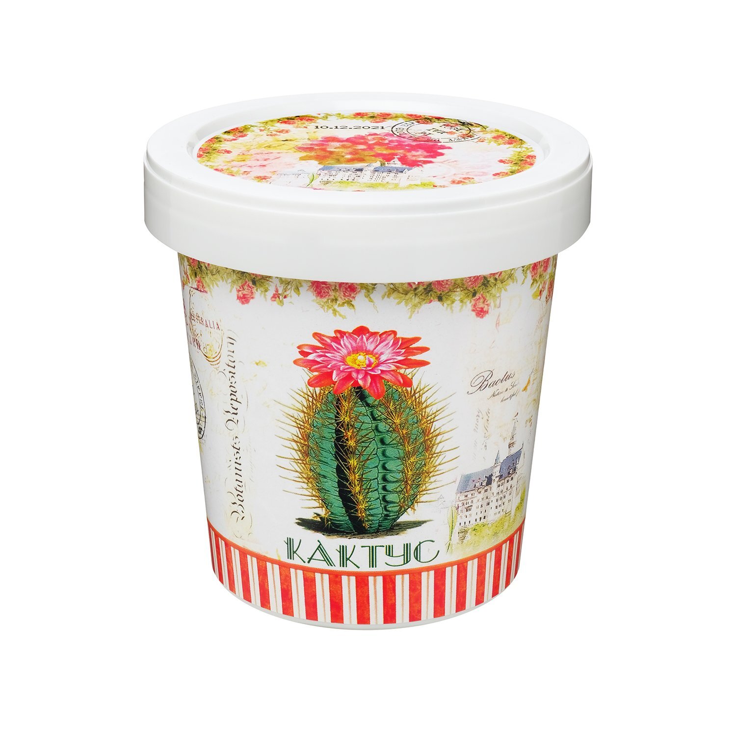 Кактусы Купить Интернет Магазин Недорого