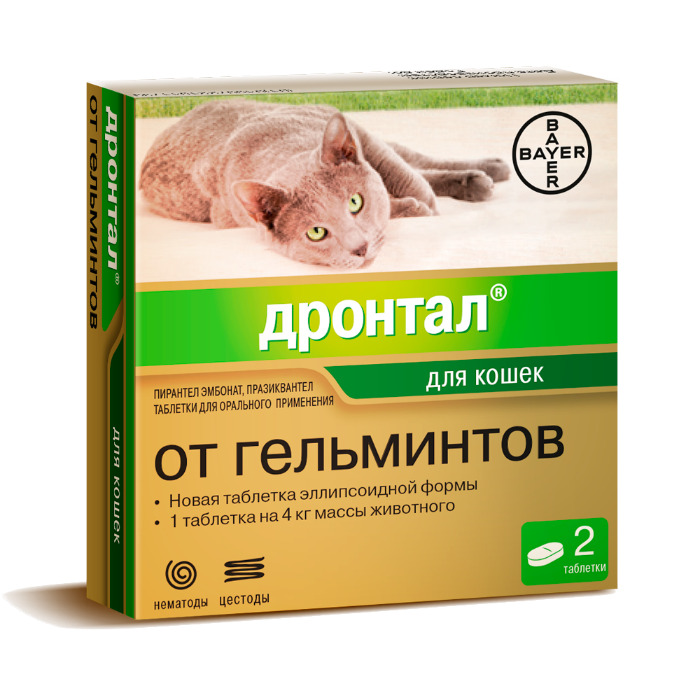 Таблетки коту от глистов