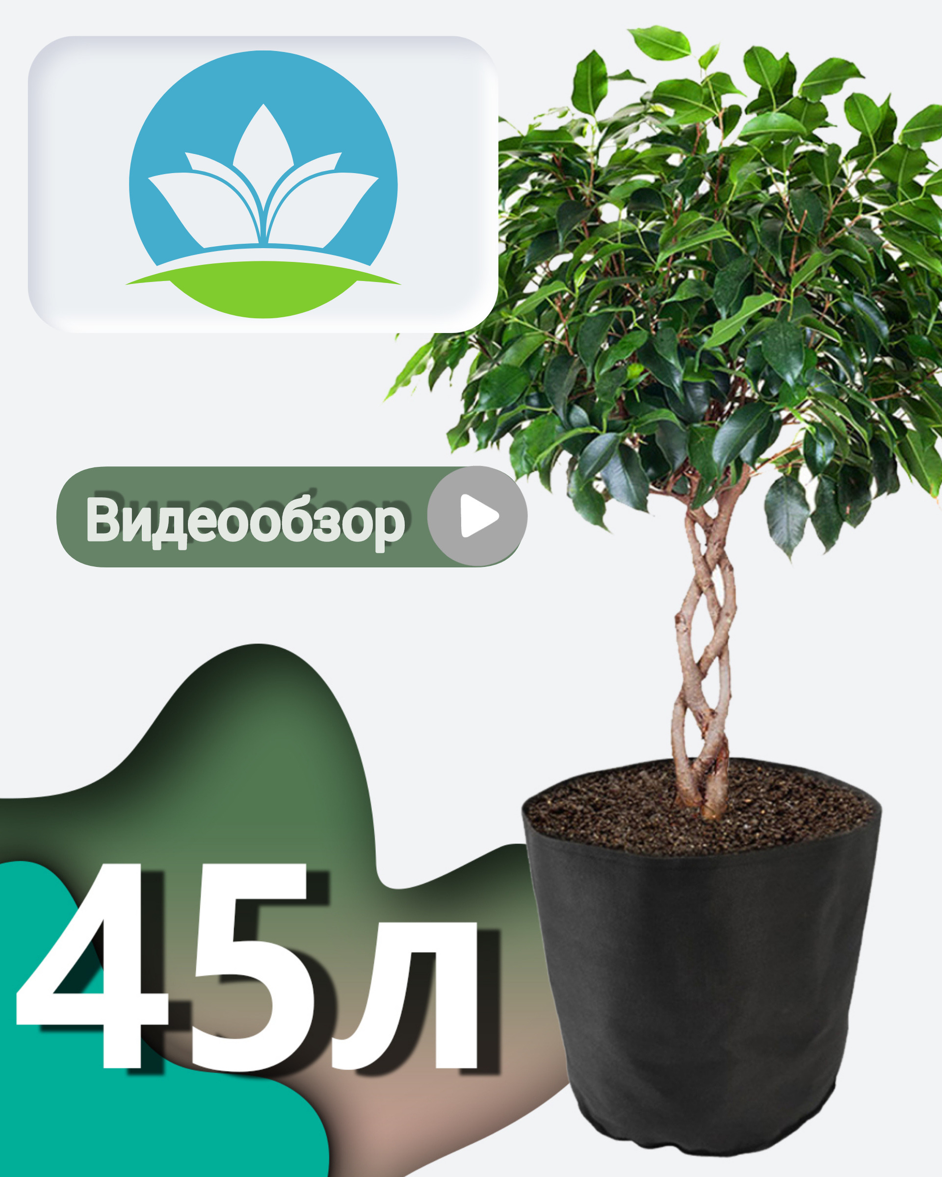 Эко 45 форум
